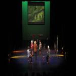 images/Voorstellingsfotos/Van Goghs Way to Go Teenagerversion Eveningconcert/24VanGoghAvond.jpg